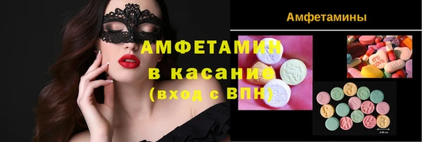 стаф Богданович