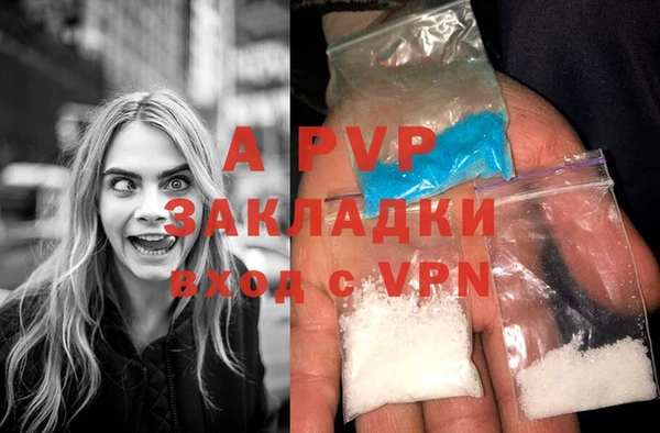 стафф Беломорск