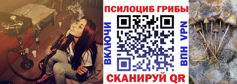Псилоцибиновые грибы MAGIC MUSHROOMS  Кировск 